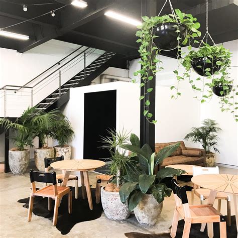 5 Indoor Plant Arrangements For Your Sydney Office ~ Godiygocom