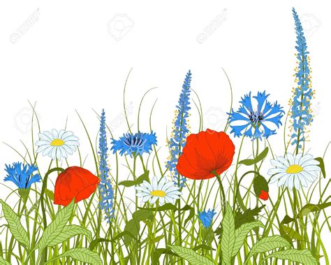 Field Flower Clipart 20 Free Cliparts Download Images On