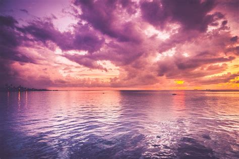 Beautiful Purple Sea And Pink Horizon Sunrise Hf Wallpapers
