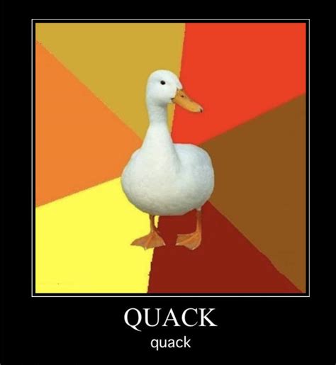 Quack Quack Rmemes
