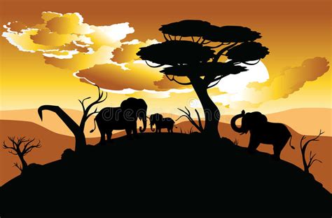 African Sunset With Elephant Stock Vector Illustration Of Sunset