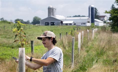 Pa Environment Digest Blog Dep Reports On Farmers Efforts To
