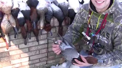 Ducks In A Row Michigan Diver Duck Hunting Youtube
