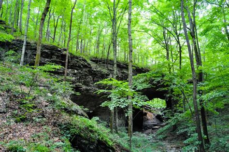 Hiking A Wooded Trail In Kentucky Leading To A Cave Stock Image