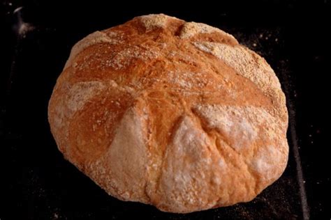 Boule For Breadbakers Bread Therapy Bread Yeast Bread Rolls