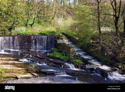 Weir And Fish Ladder At Yarrow Valley Country Park In Chorley Stock