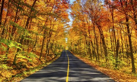 Leith Honda Raleigh Best Drives To See Fall Foliage In The Southeast