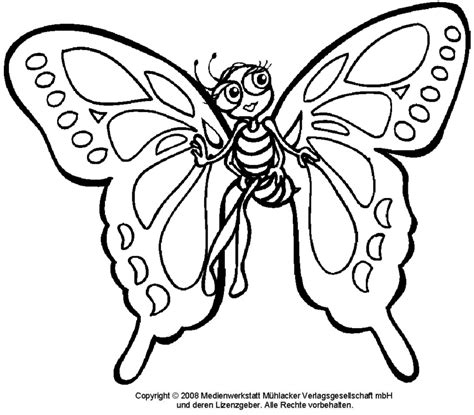 Schmetterling 1 - Medienwerkstatt-Wissen © 2006-2021 ...