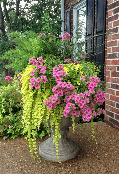 19 Beautiful Planters With Beautiful Flower For Your Front Porch