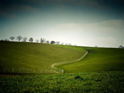 Free Images Landscape Tree Nature Grass Horizon Light Cloud