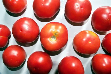Red Round Tomatoes Free Stock Photo Public Domain Pictures