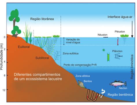 Astronave é Um Ecossistema