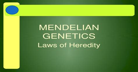 Mendelian Genetics Laws Of Heredity Aorigins Of Genetics Passing