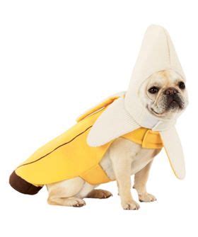 Shop wide selection of accessories for your frenchies, like dog funny halloween christmas costumes, winter snoods, dog scarf, bulldog mask muzzles, summer straw hats. Unfortunately, we're a little short on | Pet halloween ...