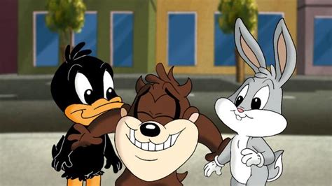 Baby Looney Tunes Full Episodes Cartoon Network