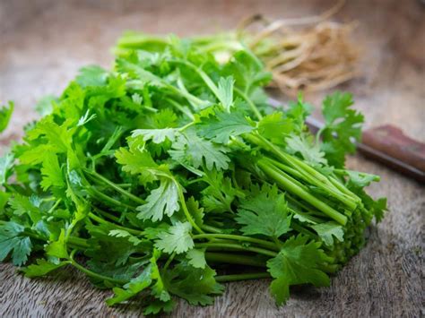 10 Powerful Parsley Health Benefits You Never Knew Readers Digest
