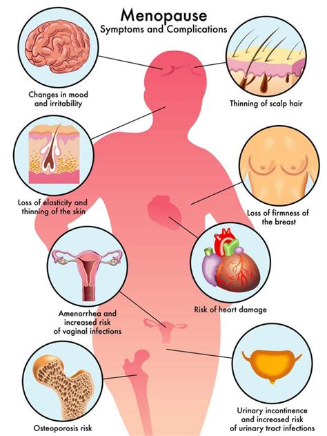 How is breast cancer detected and diagnosed? The Menopause - everything you need to know about the ...