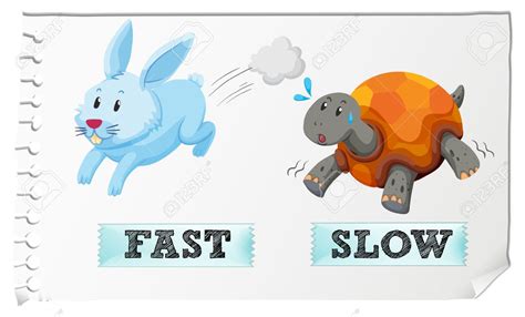 Fast And Slow Clipart 10 Free Cliparts Download Images On Clipground 2024