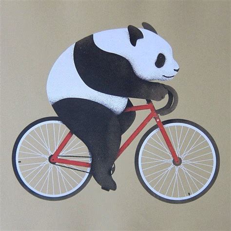 Panda Rides A Bike Zeitz Bike Illustration Riding Bike Bike Ride