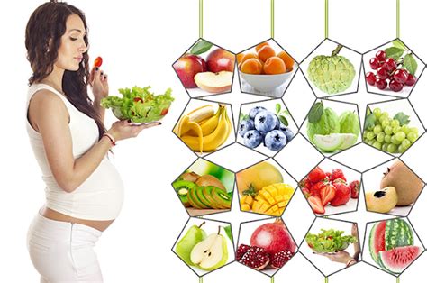 Vegetable oils are extremely energy dense and lead to. Makanan Sehat Untuk Ibu Hamil Paling Lengkap 60 ...