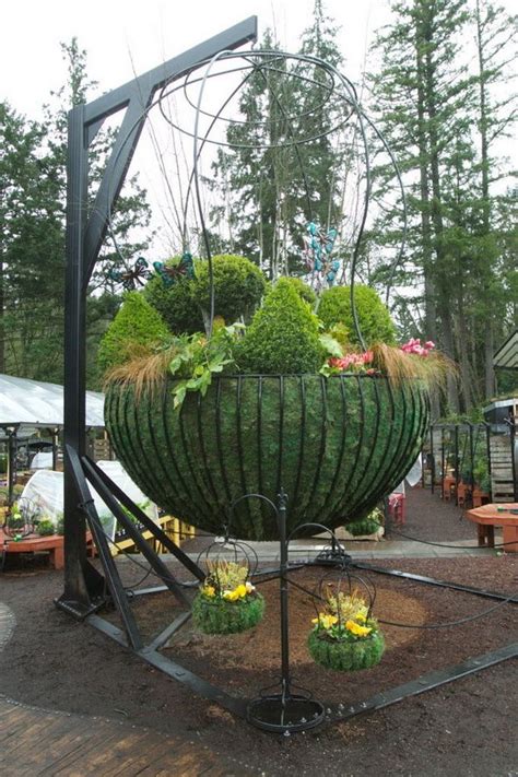 Get the hang of hanging flower baskets. Conifers featured in hanging baskets on The Garden Corner ...
