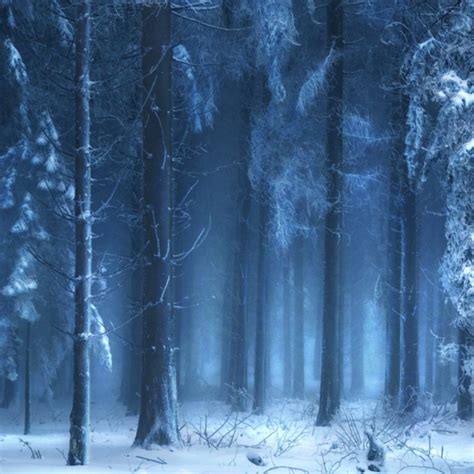 10 Top Dark Snowy Forest Background Full Hd 1920×1080 For Pc Desktop 2023