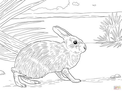 35 Coloring Pages Rabbit Printable