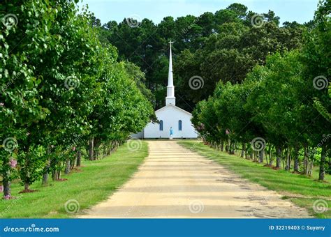 Church Steeple Dirt Road Lined With Trees Stock Image Image Of Dirt