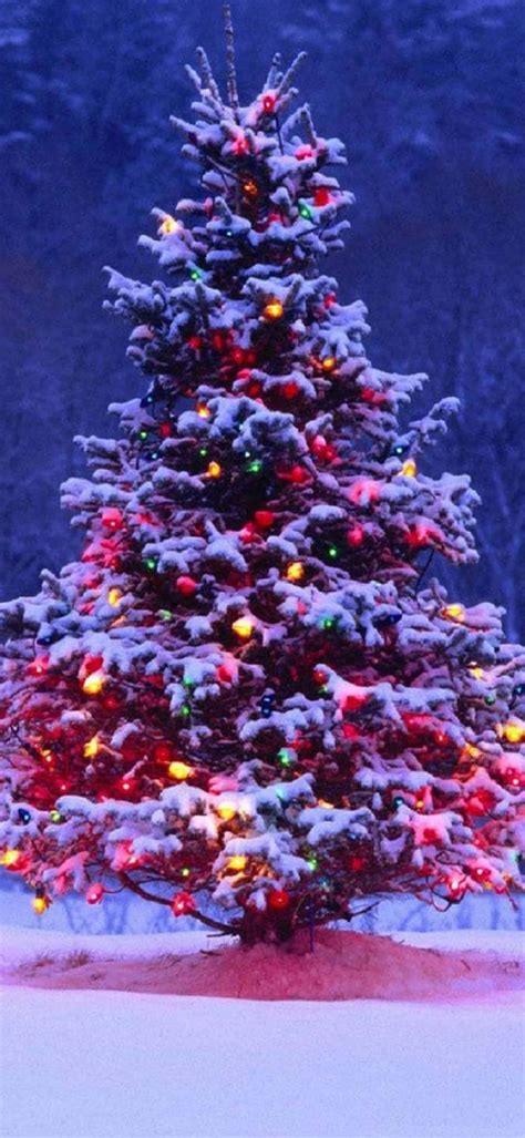 200 Christmas Iphone Backgrounds