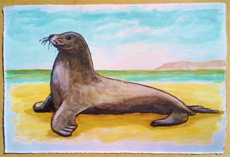 Art And Sea Lions Sketch With Watercolor Loca
