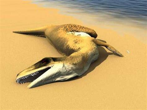 Fossils Found In Antarctica From 2 New Dinosaur Species St Marys
