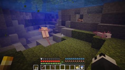 Minecraft Lush Caves Everything We Know Pcgamesn
