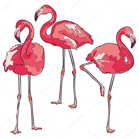 Colorful Pink Flamingos Seamless Vector Pattern Stock Vector Image By