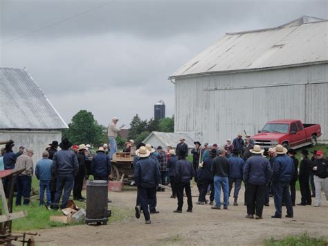 Amish Auction Romulus Ny