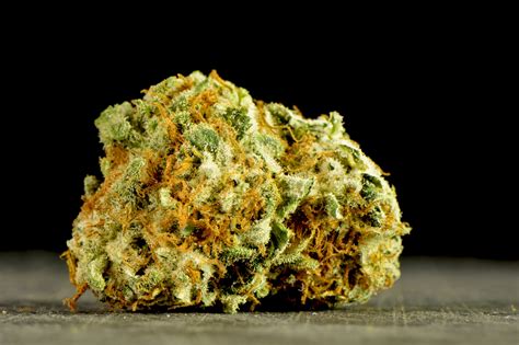 What Is The Strongest Weed Strain Of All Time Lifestyle And Hobby