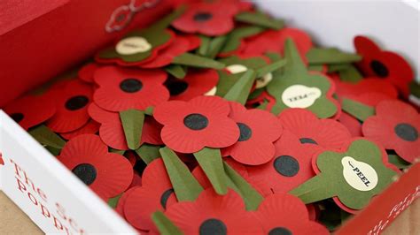 Remembrance Sunday What S Different About The Scottish Poppy Bbc News