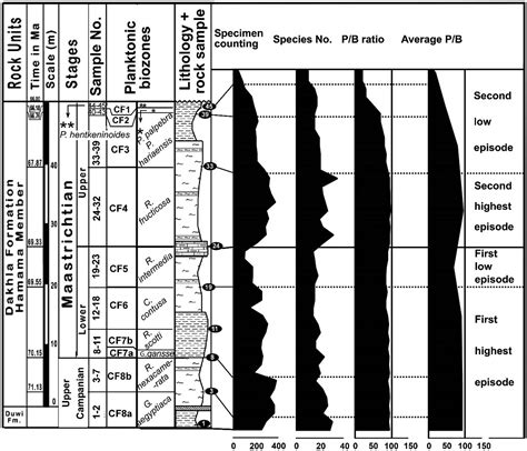 Biostratigraphy Of The Late Campanianmaastrichtian Of The Duwi Basin
