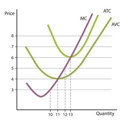 The Graph Shows The Cost Curves Of A Firm In A Com