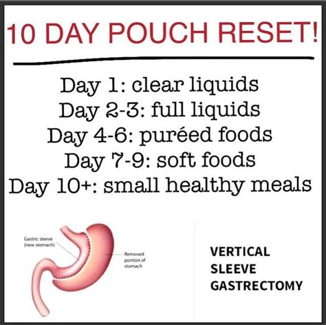 10 Day Pouch Reset Pouch Reset Sleeve Surgery Diet Bariatric Recipes Sleeve