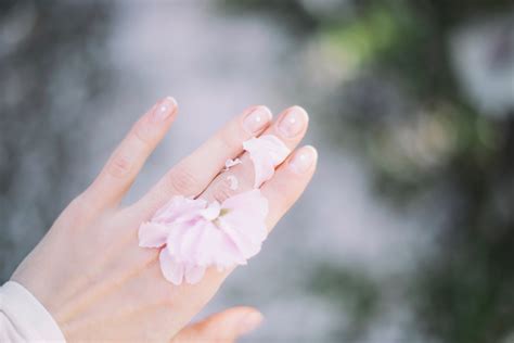 Banco De Imagens Mão Flor Plantar Folha Flor Pétala Dedo