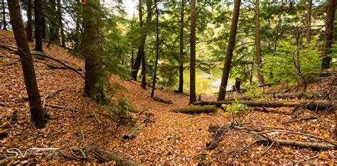 The Beautiful Season Of Fall Steven Vandervelde Photography