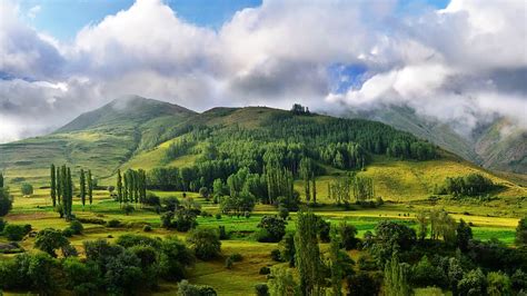 Free Download Hd Wallpaper Green Mountain Near Trees Under Blue Sky