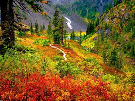 Trail In Autumn Mountain Forest Hd Wallpaper Background Image 2000x1500 Id679804