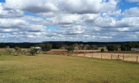 Shopping opportunities abound throughout spring hill, with plenty of strip malls and plazas to choose from, such as mariner square and nature coast commons. Sprinkler Repair Hernando County Fl Free Estimates Work ...