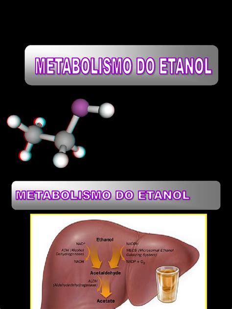 Aula 10 Metabolismo Do Etanol Etanol Metabolismo