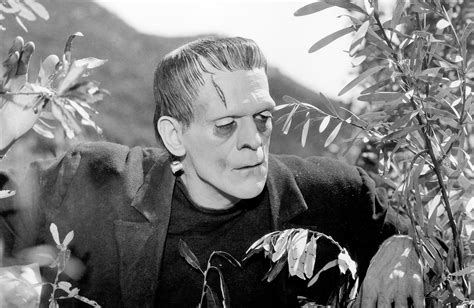 Frankenstein Turner Classic Movies