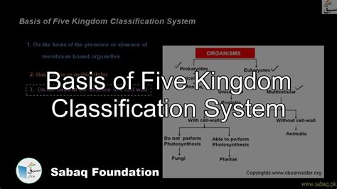 Basis Of Five Kingdom Classification System Biology Lecture Sabaqpk