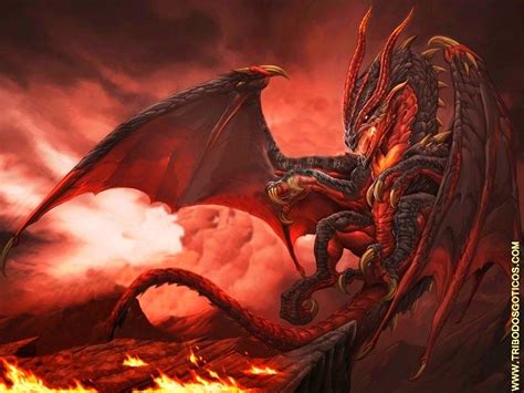 DragÃo De Fogo Red Dragon Fantasy Dragon Dragon Art