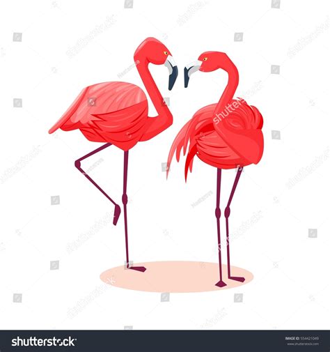 Love Birds Pink Flamingo Standing Vector Stock Vector 554421049