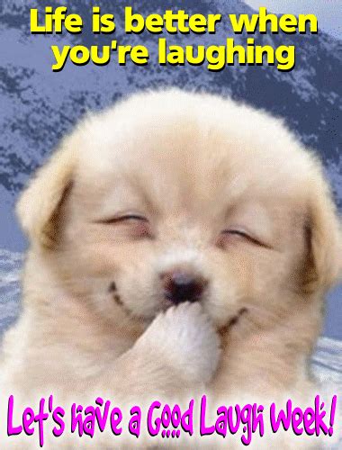 A Good Laugh On Laugh Week Free Laugh Week Ecards Greeting Cards